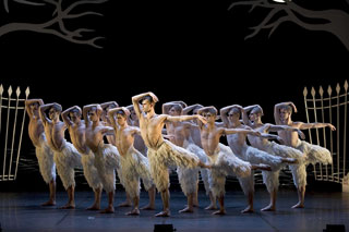 Swan Lake di Matthew Bourne al Teatro Alighieri di Ravenna